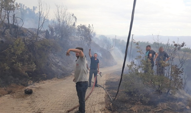 İzmir'de çıkan orman yangınları kontrol altına alındı