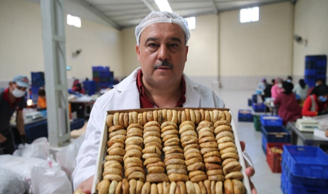 Kuru incir fiyatları üreticiyi memnun etti