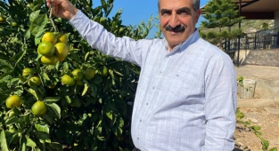 Mandalina ihracatında hedef 500 milyon dolar