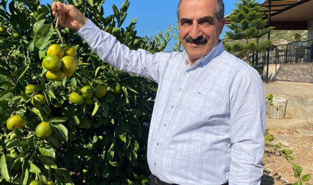 Mandalina ihracatında hedef 500 milyon dolar