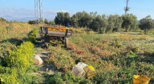 Manisa'da tarlada traktörün çarptığı kadın öldü