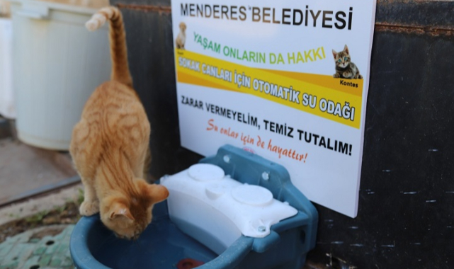 Menderes Parklarına Can Dostlar İçin Su Odakları