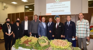 Mevsimin ilk kuru incir ve üzümü borsaya geldi