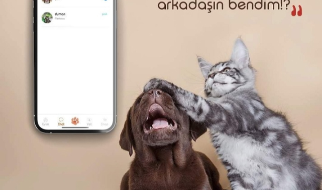 Pethiio uygulamasıyla can dostlarına yardımcı olabilirsiniz
