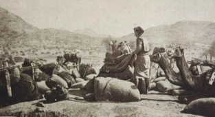Yemen şehitlerinin izini sürüyor