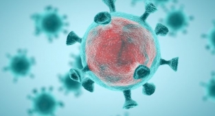 20 Kasım 2021  Korona tablosu açıklandı