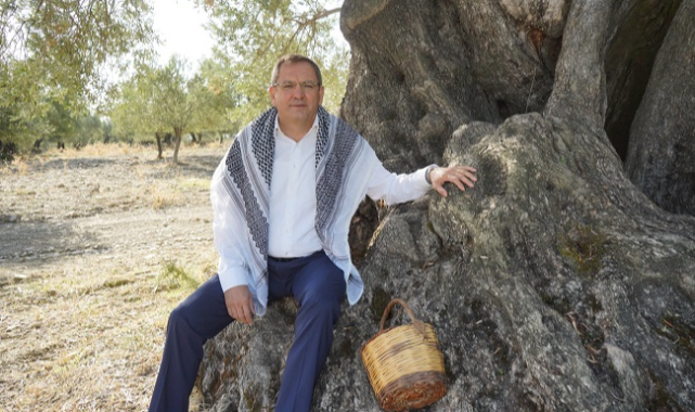 Mesut Ergin: “Dünya Zeytin Ağacı Günü Kutlu Olsun”