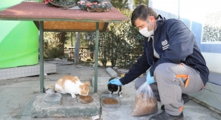Gaziemir’de 5 bin 304 hayvana şefkat eli uzandı
