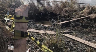 Sosyal medya şifresini vermediği için öldürmüş