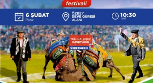 Torbalı’da develer sahaya iniyor