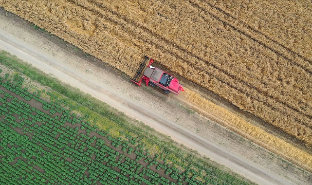 3,2 milyar liralık ilave kaynakta öncelik stratejik ürünlerin