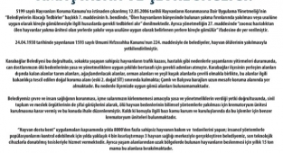 Karabağlar’da ölen hayvanlar yakılacak