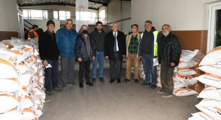 Kavacık üzümleri daha güzel olacak