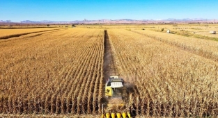 Tarım ihracatı 6 sektörle rekora koştu