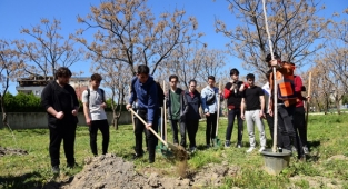 Bornova fidan dikimleriyle yeşilleniyor