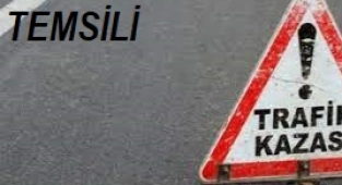 Denizli'de şarampole devrilen otomobilin sürücüsü öldü