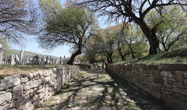 Foça'daki "antik yol" ziyarete açılacak