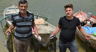 Demirköprü Barajında Balık Bolluğu