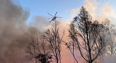 İzmir'de Doğal Yaşam Parkı yakınında çıkan yangın korkuttu