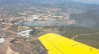 İzmir'de zeytinlikte çıkan yangın kontrol altına alındı