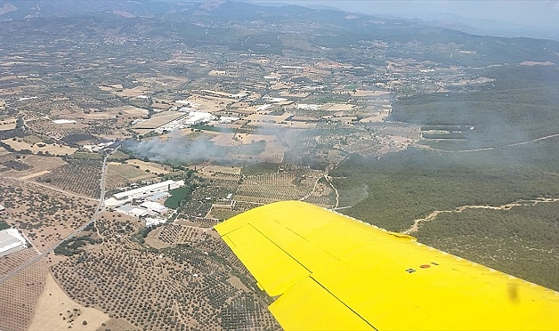 İzmir'de zeytinlikte çıkan yangın kontrol altına alındı