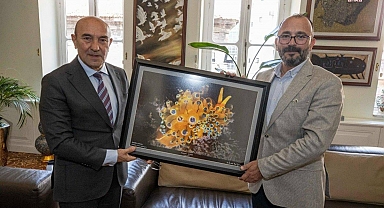 İzmir Körfezi'nde Kabuksuz Deniz Salyangozu Görüldü.