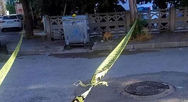 Manisa'da çöp konteynerinde bebek cesedi bulundu