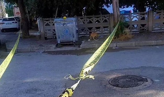 Manisa'da çöp konteynerinde bebek cesedi bulundu