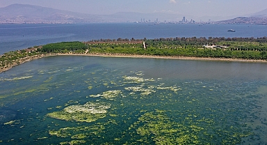 Nasır’dan İzmir’deki ‘Koku’ problemi için soru önergesi