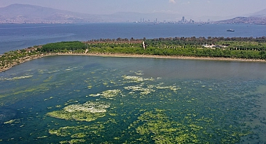 Nasır’dan İzmir’deki ‘Koku’ problemi için soru önergesi
