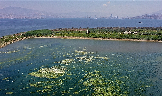 Nasır’dan İzmir’deki ‘Koku’ problemi için soru önergesi