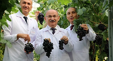 "Spil karası" üreticiyle buluşmaya hazır