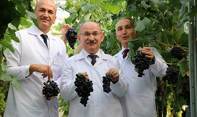 "Spil karası" üreticiyle buluşmaya hazır