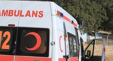Ağaçtan düşen kişi öldü