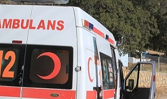 Ağaçtan düşen kişi öldü