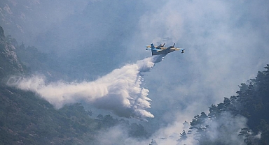 Datça'daki yangın kontrol altına alındı