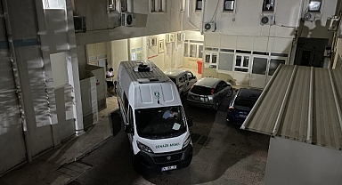İş insanı ve eşi kazada  yaşamını yitirdi