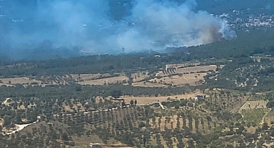 İzmir'de ormanlık alanda çıkan yangın kontrol altına alındı