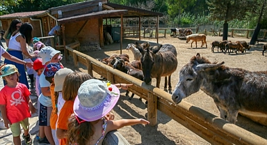 İzmir Doğal Yaşam Parkı'nın sevimli sakinleri