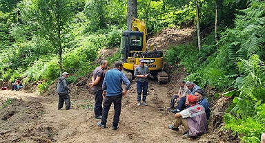 Kestiği ağaç üzerine devrilen orman işçisi öldü
