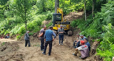 Kestiği ağaç üzerine devrilen orman işçisi öldü