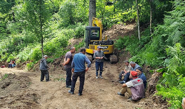 Kestiği ağaç üzerine devrilen orman işçisi öldü