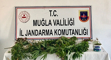 Muğla'da uyuşturucu ticareti yapan şüpheli yakalandı