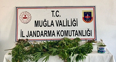 Muğla'da uyuşturucu ticareti yapan şüpheli yakalandı