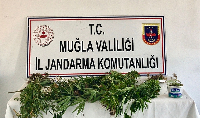 Muğla'da uyuşturucu ticareti yapan şüpheli yakalandı