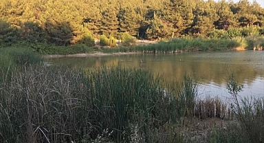 Sarnıç Göleti'ne su sağlayan pompaların kapatıldığı iddiası