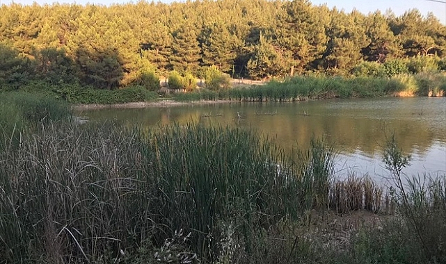 Sarnıç Göleti'ne su sağlayan pompaların kapatıldığı iddiası