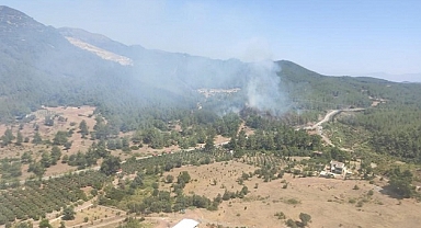 Seferihisar ilçesinde orman yangını