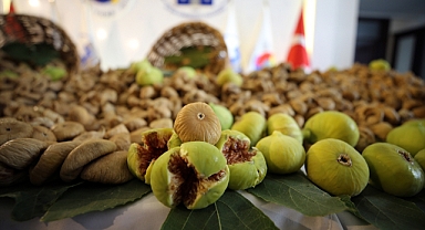 Aydın'da sezonun ilk kuru incirine 350 liralık "sembolik fiyat"