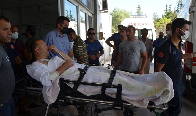 Didim Belediyesi Zabıta Müdürüne saldırı